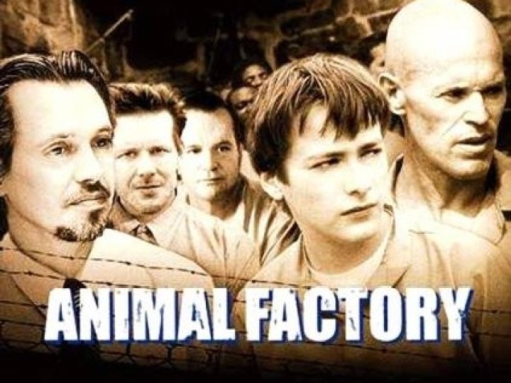 Animal Factory
