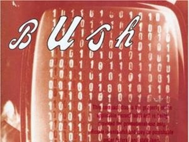 Bush