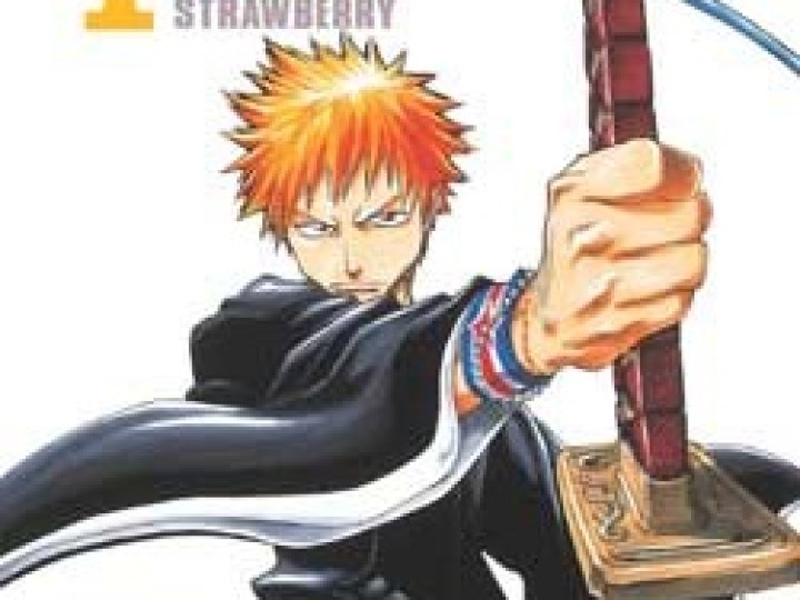 Bleach - le manga