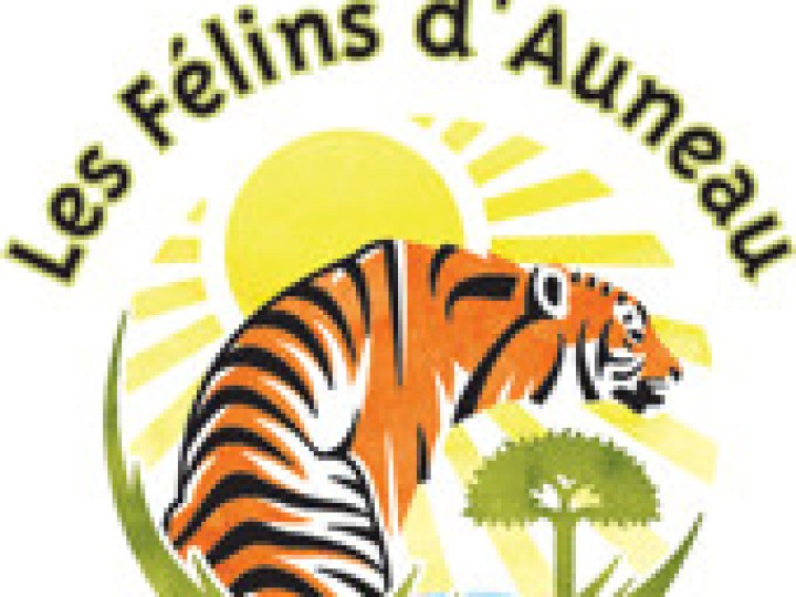 Félins d'Auneau (Les)