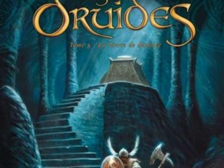 Druides (Les) - Tome 5 - La Pierre de destinée