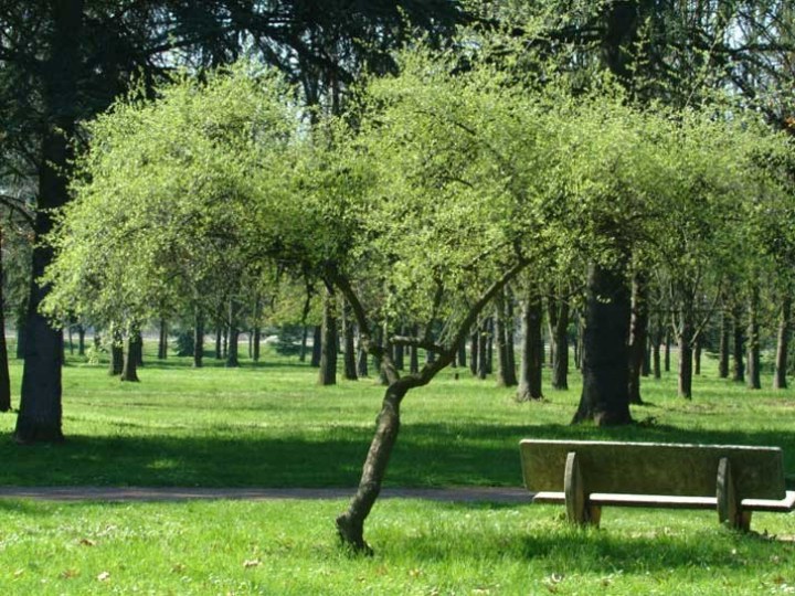 Parc de Parilly - Lyon
