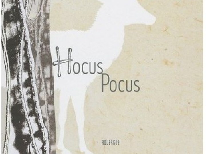 Hocus Pocus