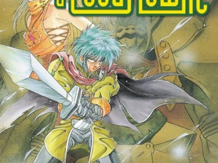 Vision d'Escaflowne - la série