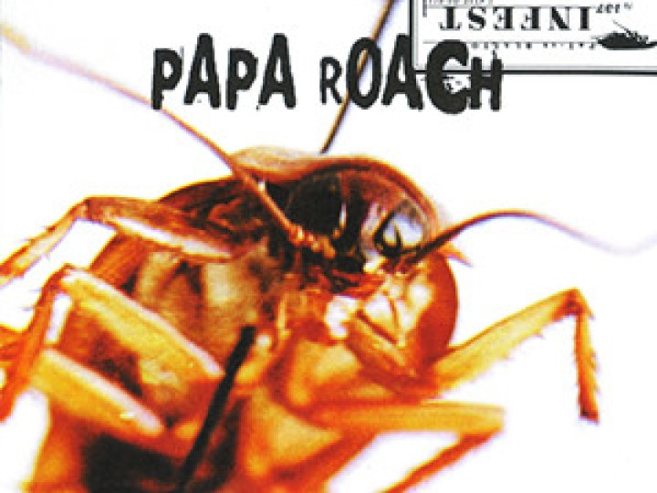 Papa Roach - Infest & lovehatetragedy