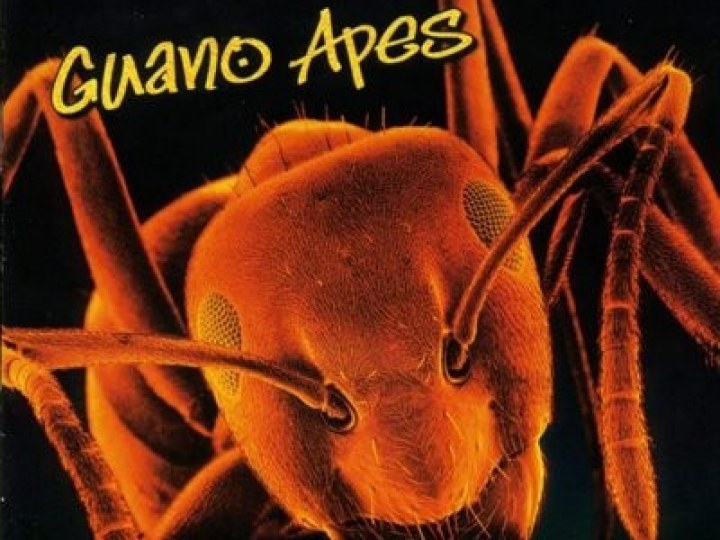 Guano Apes - Don't Give me Names