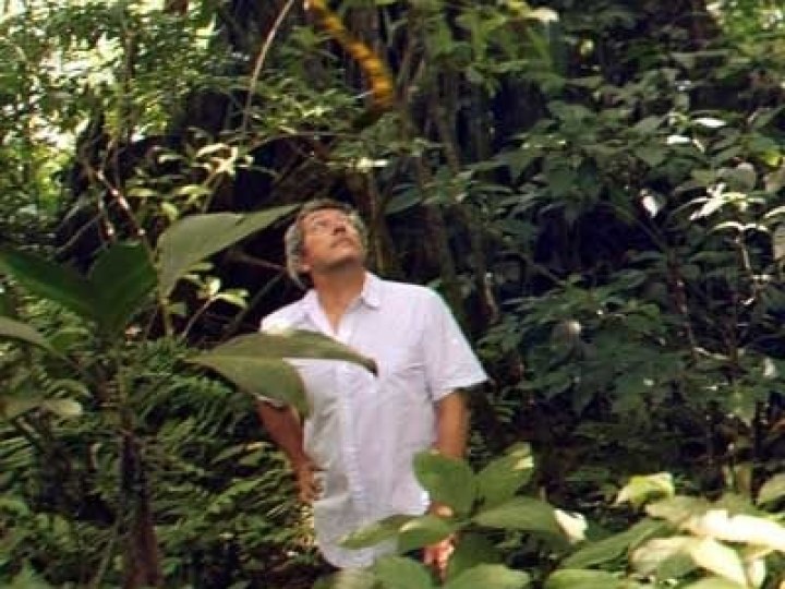 Sur la piste du Marsupilami : un box-office super... houba ?