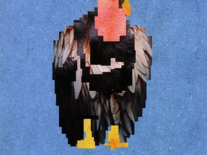 Nedry - Condors