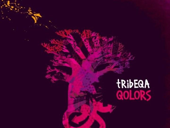 Tribeqa - Qolors