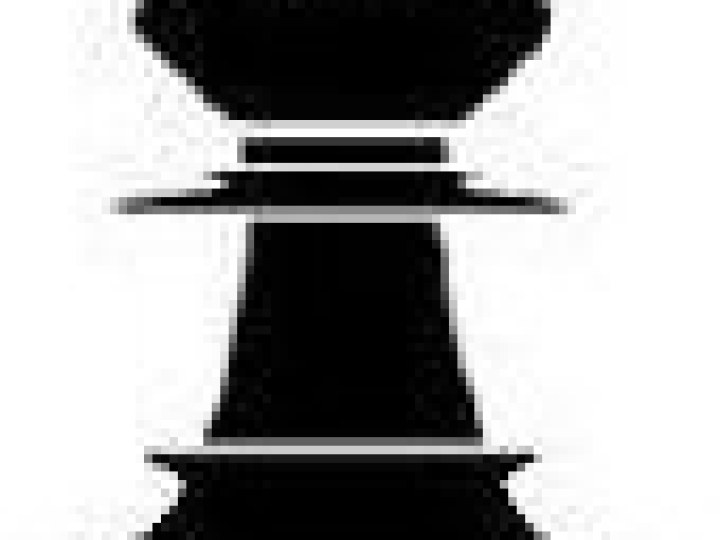 Echecs (Le jeu d')