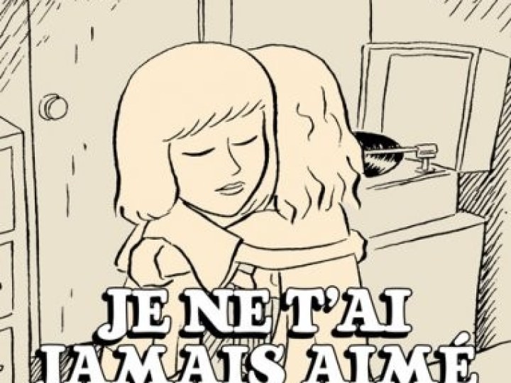 Je ne t'ai jamais aimé