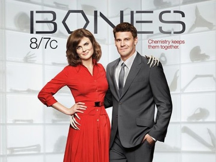 Bones : os court