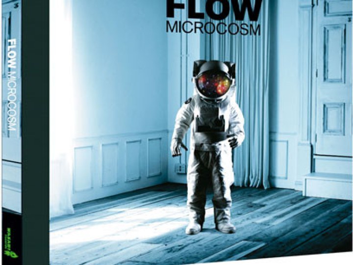 Flow - Microcosm