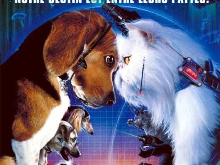 Comme chiens et chats