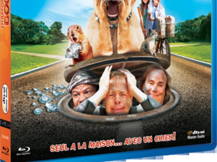 Diamond Dog : chien milliardaire