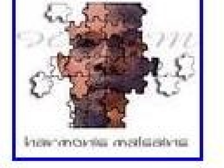 Harmonie Malsaine - Maxi