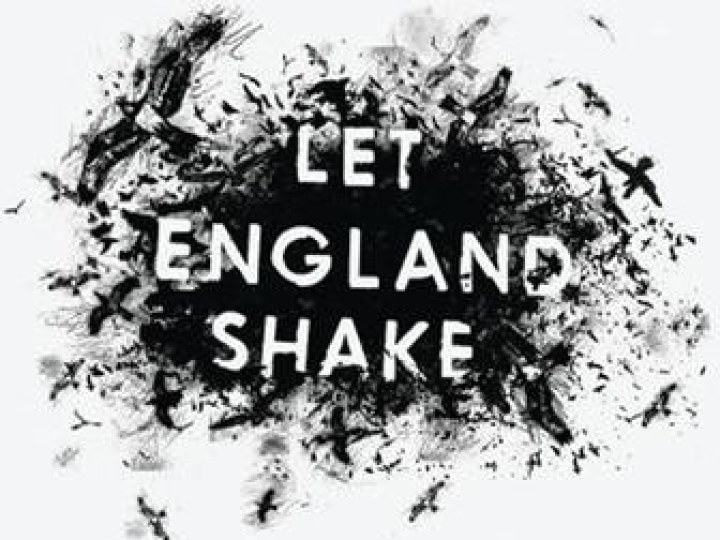 PJ Harvey : God save the Jungle Queen