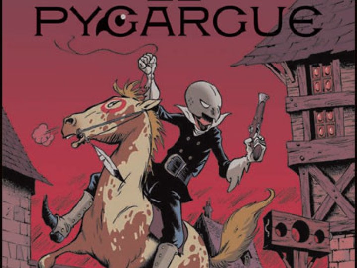 Le Pygargue : un vol majestueux pour un atterrissage raté