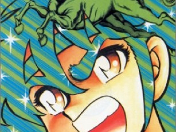 Saint Seiya  - le manga