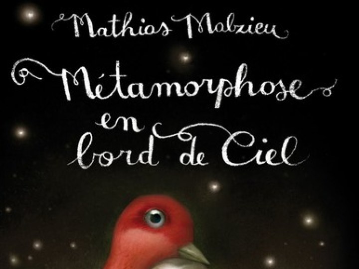Mathias Malzieu se Métamorphose en bord de ciel