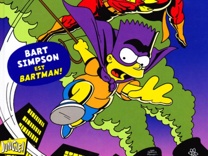 Bartman Begins