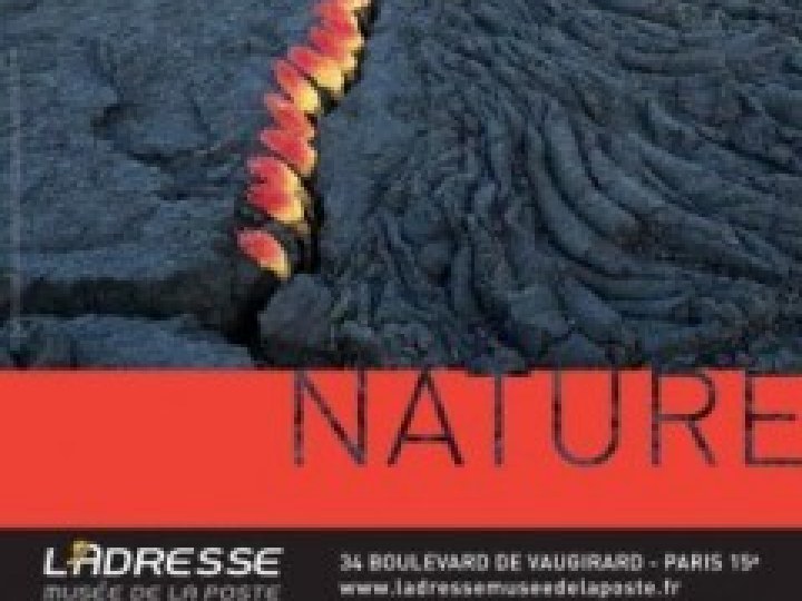 L'adresse - Musée de la Poste : exposition Nils Udo : Nature, jusqu'au 1er octobre