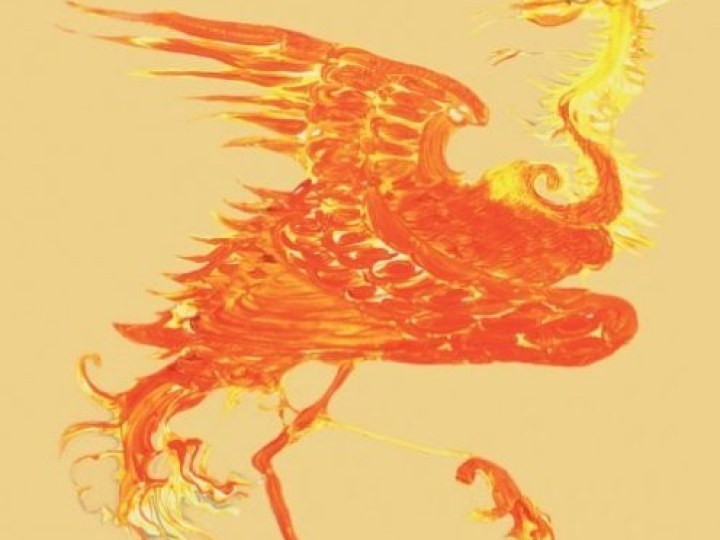 Bravery (The) - The Bravery