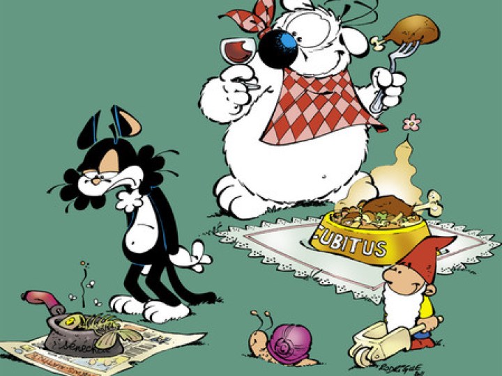 nouvelles aventures de Cubitus (Les) - Tome 7 - Le chat du radin