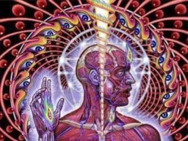 Tool