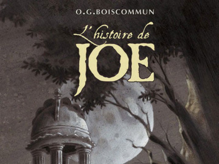 Histoire de Joe (L')