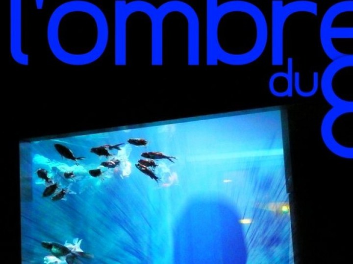 L'ombre du huit - L'ombre du huit