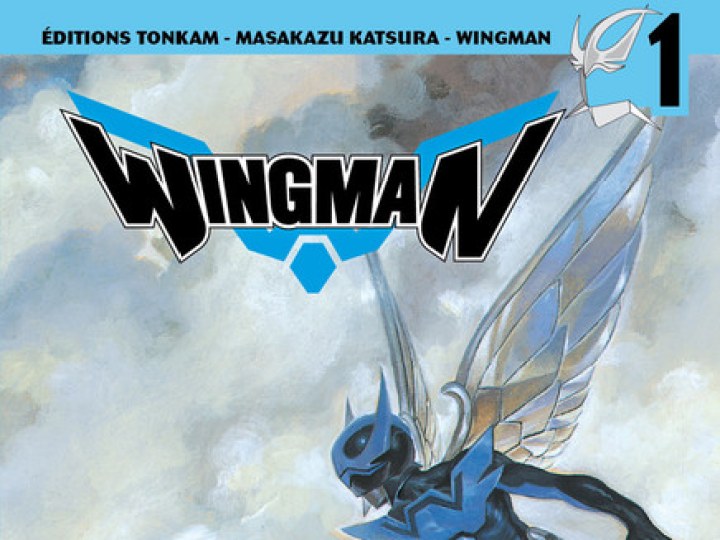 Wingman T.6