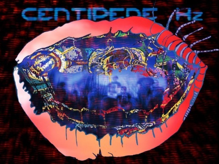 Animal Collective - Centipede HZ