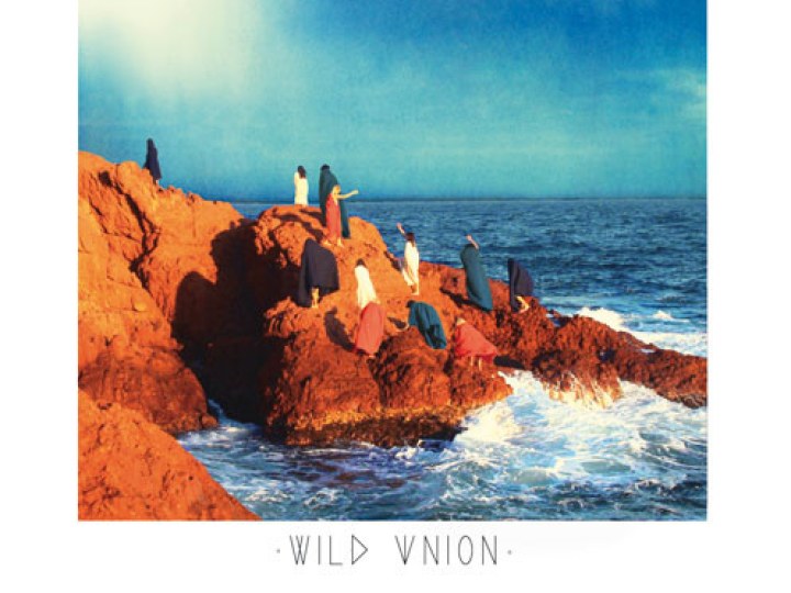 Hyphen Hyphen - Wild union