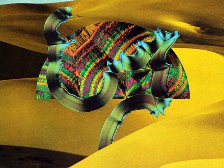 Django Django - Django Django