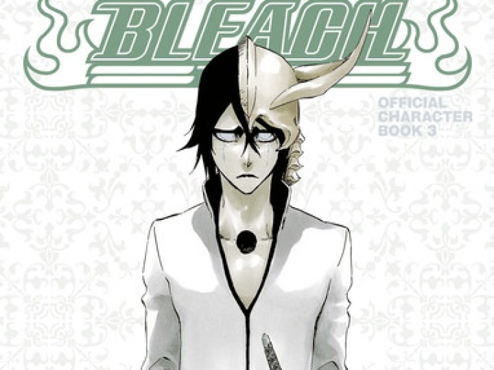 Bleach Unmasked