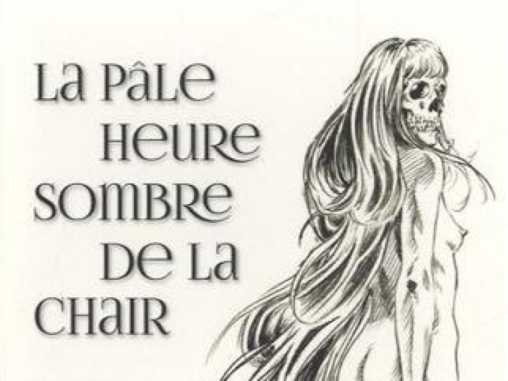 La pâle heure sombre de la chair - Julie-Anne de Sée