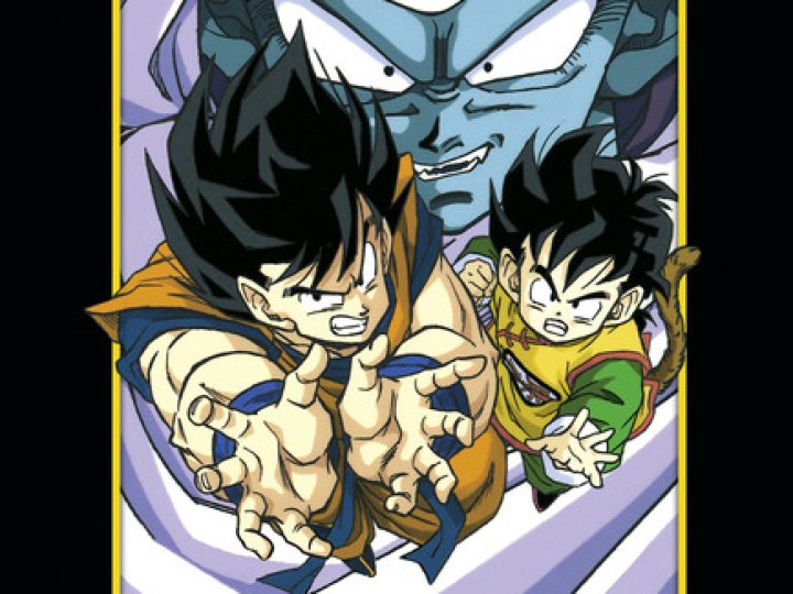 DBZ - Le combat fratricide