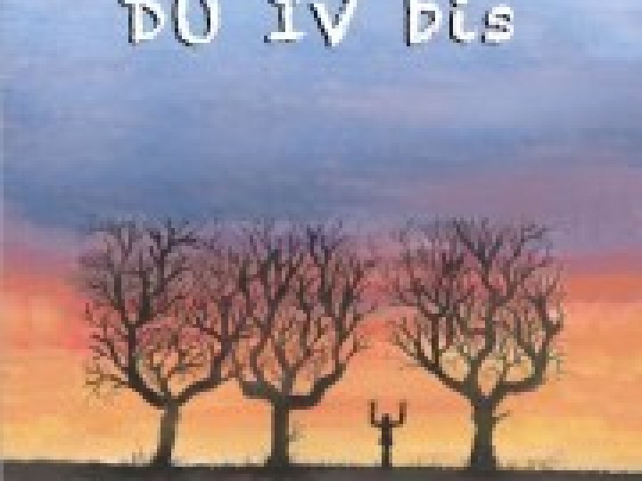 Les fous du IV Bis