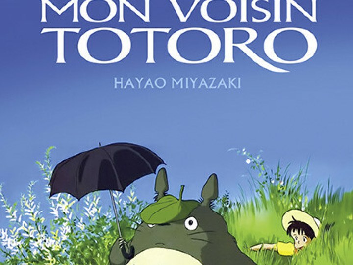 Mon Voisin Totoro - Statique ou non, il est toujours aussi attachant ! 