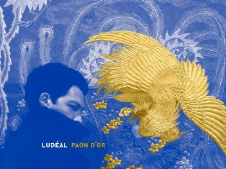 De la douceur avec Paon d'or de Ludéal