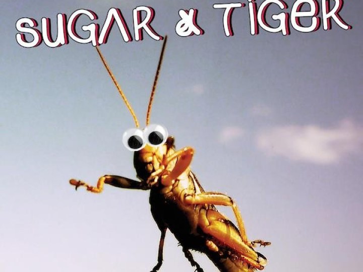 Télévisage de Sugar & Tiger, pink'n'roll