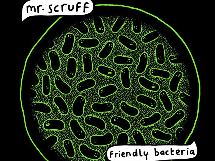 Friendly bacteria de Mr. Scruff