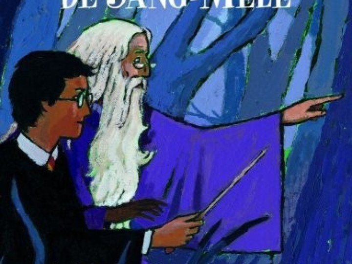 Harry Potter Tome VI : enfin en France