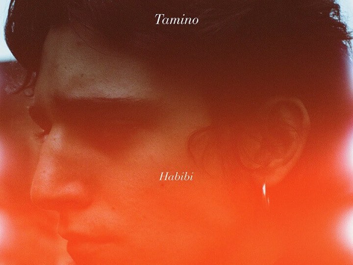 Tamino, une voix d'or sur une gueule d'ange