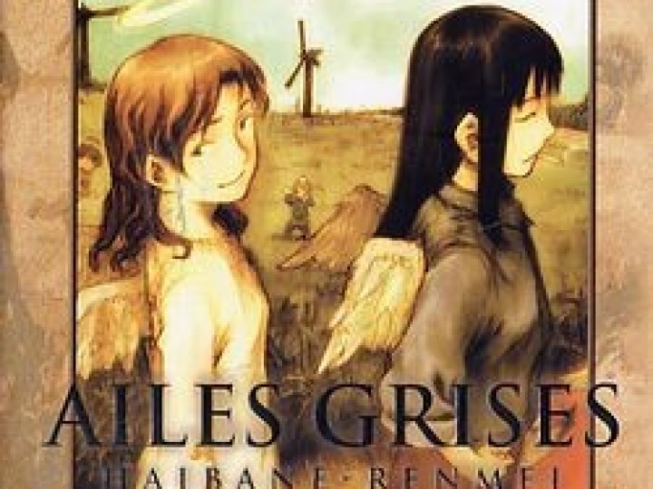 Ailes Grises