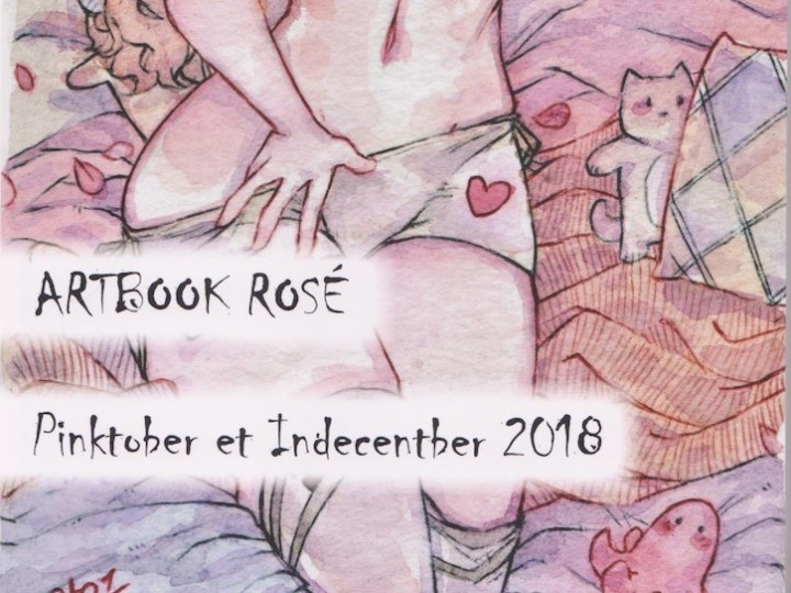 Artbook rosé