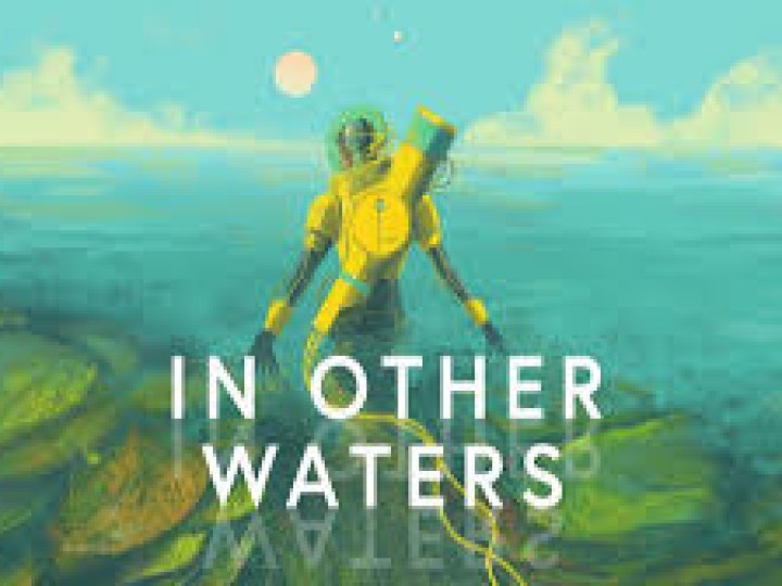 In other waters - Test Switch