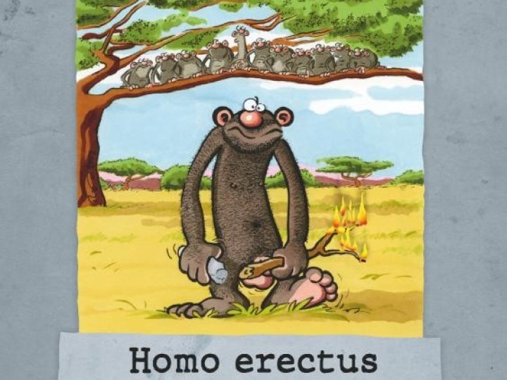 Homo erectus