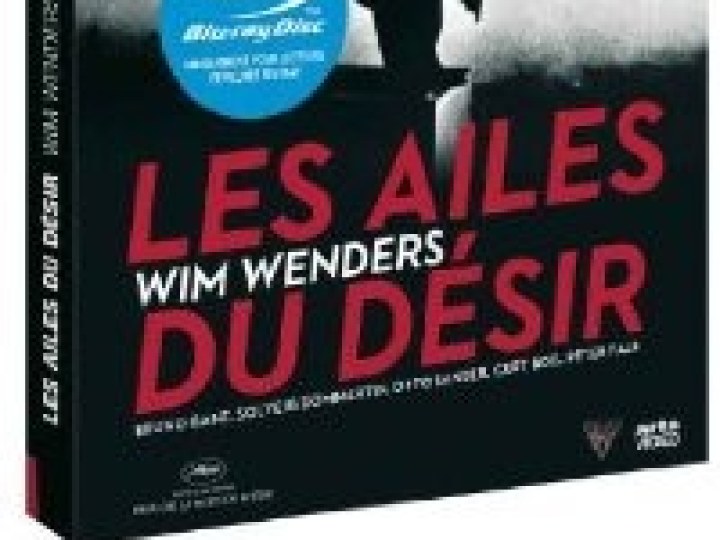 ailes du désir (Les)